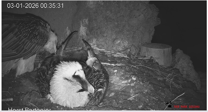 Screenshot_20260103-003634~2