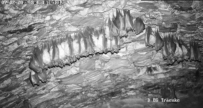2026-02-7_5 ab 16.00  Kugel bzw. 3er-Gruppe im Keller