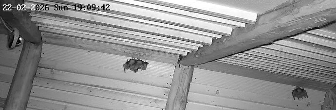 2026-02-22_2 ab 22.00 WG zwei Cluster