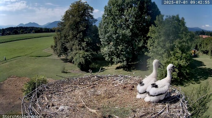 Screenshot_20250701_094326_YouTube