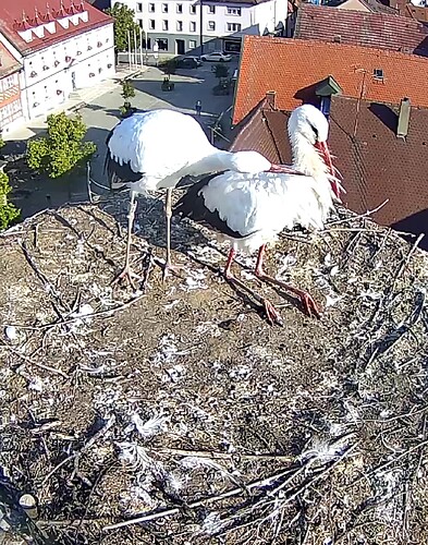 Screenshot_20231003-100739~2