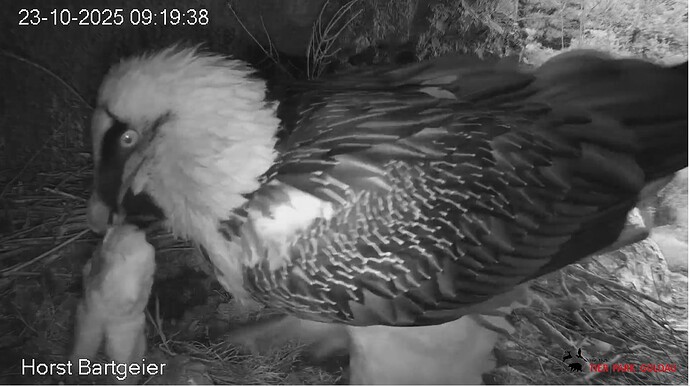 M mit Beute 23.10.25