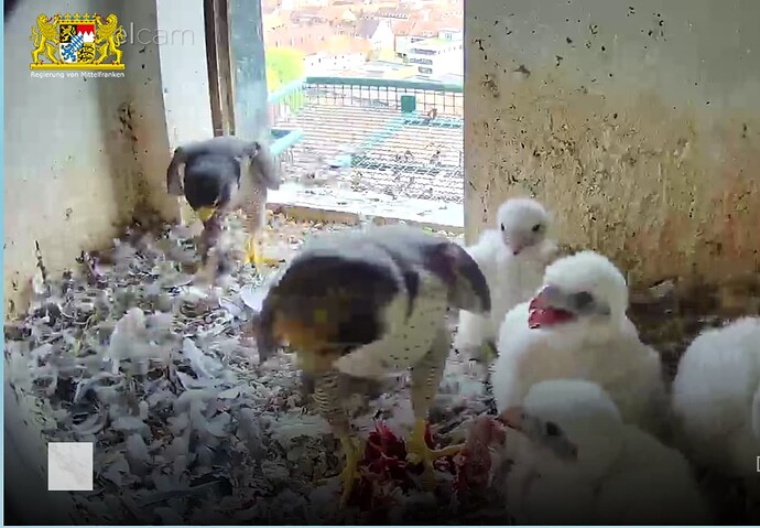 Screenshot_20230422-180745~2