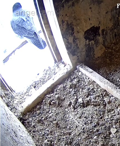 Screenshot_20240118-141642~2