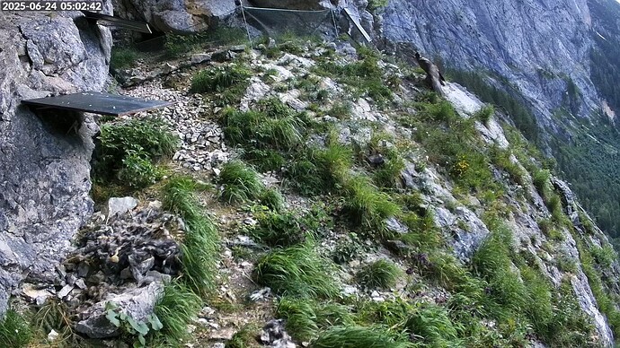 Bildschirmfoto vom 2025-06-24 05-03-21