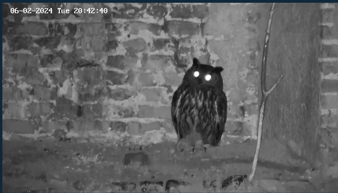 Screenshot_20240206_204251_Chrome~3