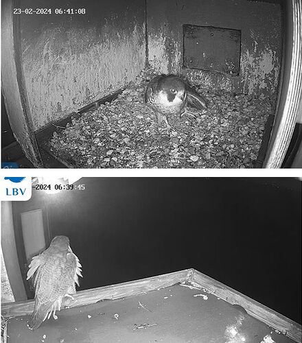 Snap_2024.02.23_06h40m02s_004_