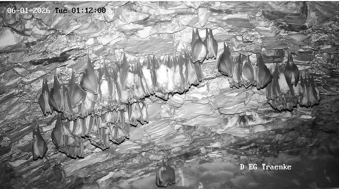 2026-01-05_10 ab 23.00 erneute Kugelbildung 3