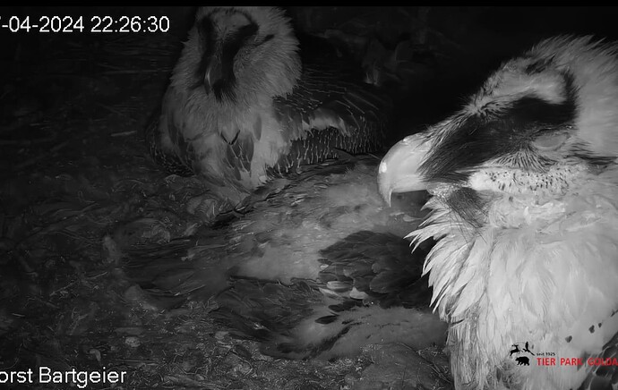 Screenshot_20240427-222743~2