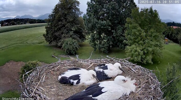 Screenshot_20250716_205147_YouTube