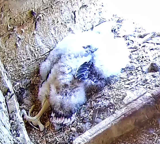 Screenshot_20230515-110807-01