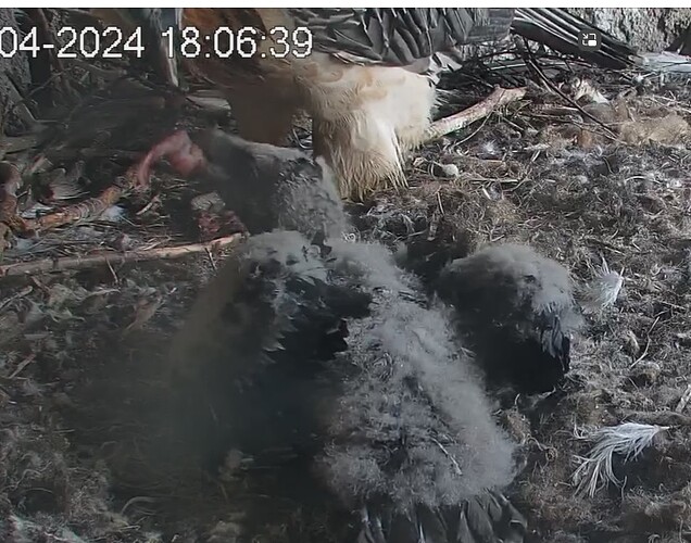 große Portion 18.04.24