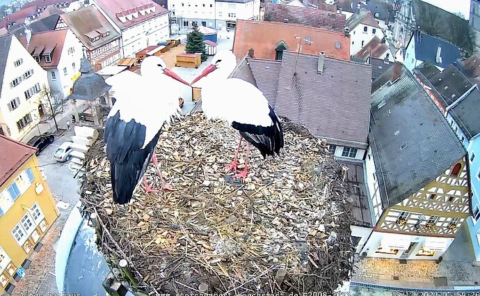 Screenshot_2023-12-15-07-59-46-555_com.android.chrome