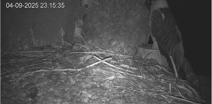 Screenshot_20250904-231644~2