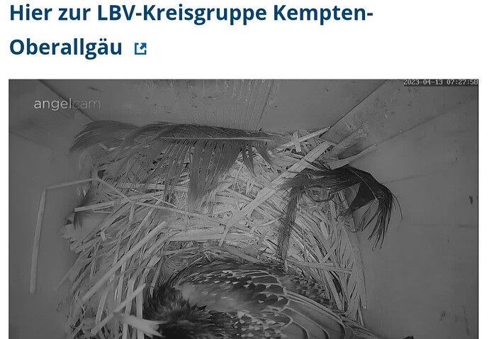 Screenshot_20230413_072818_Samsung Internet