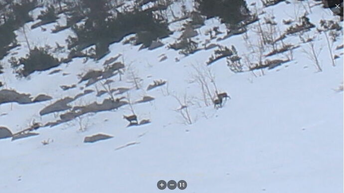 Snap_2023.04.06_19h28m47s_022_