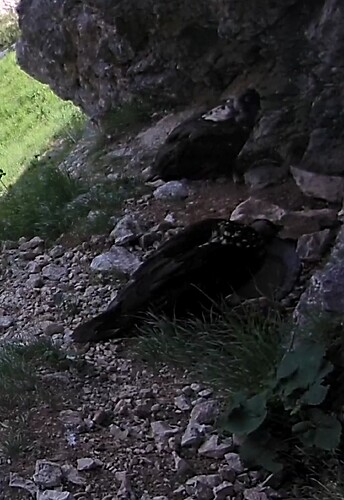 Screenshot_20230626-133944~2