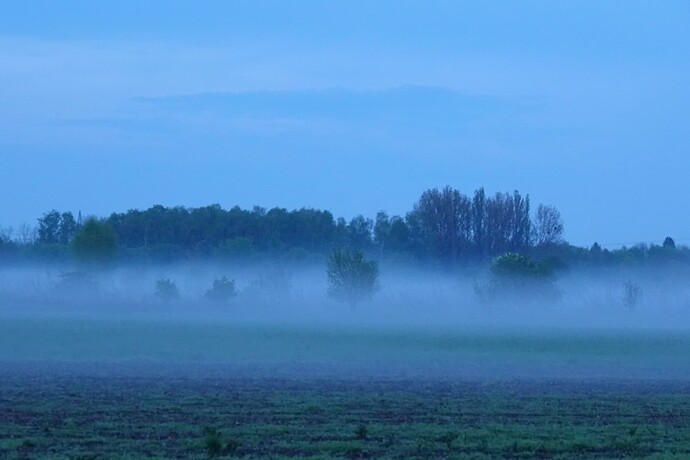 DSC02642_1