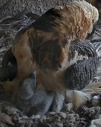 Screenshot_20240320-123723~2