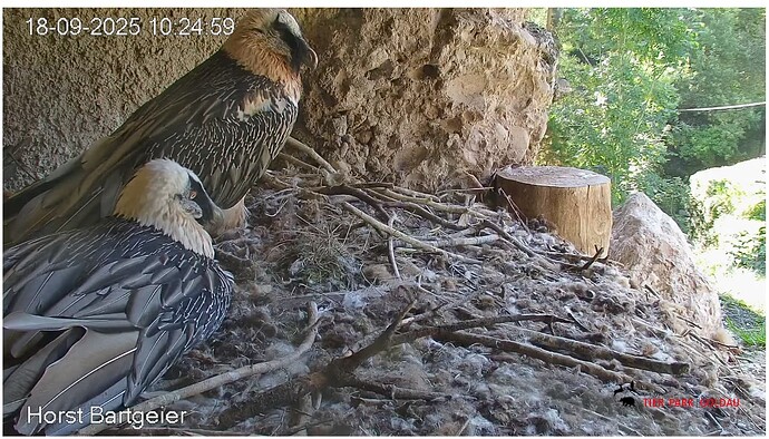 Screenshot_20250918-102610~2