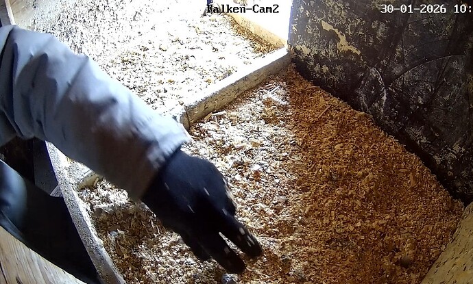 Screenshot_2026-01-30-10-16-19-350_com.android.chrome