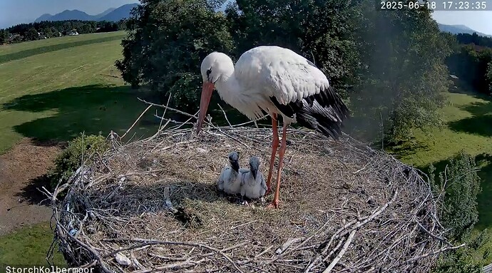 Screenshot_20250618_172409_YouTube