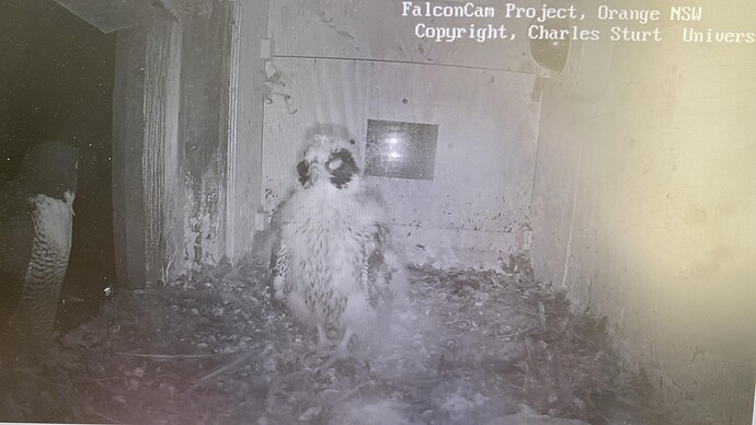 PHOTO-2024-11-06-11-07-32