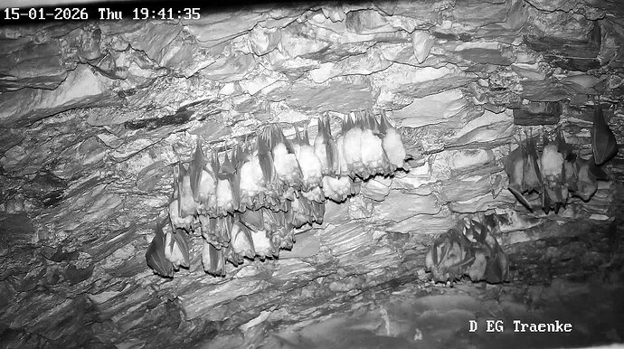 2026-01-15_5 ab 19.00 vereinte Cluster