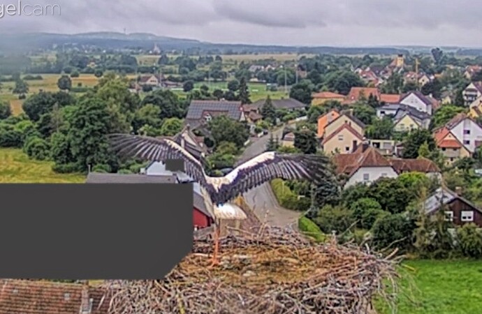 Screenshot_2024-07-03-08-08-18-651_com.android.chrome