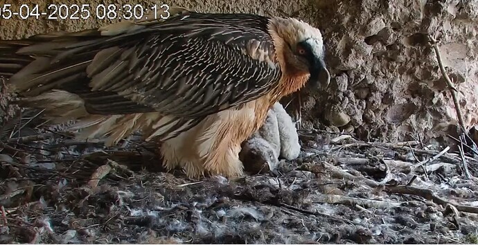 Mascha mit Bartili 05.04.25