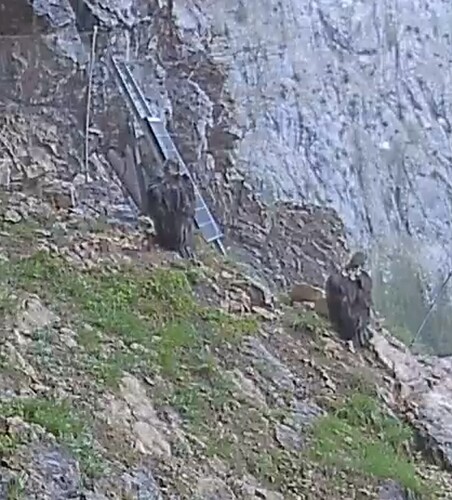 Screenshot_20230525-165716_Chrome