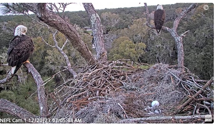 Screenshot 2023-12-20 133333