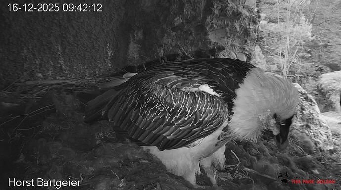 Allein z.H. 16.12.25