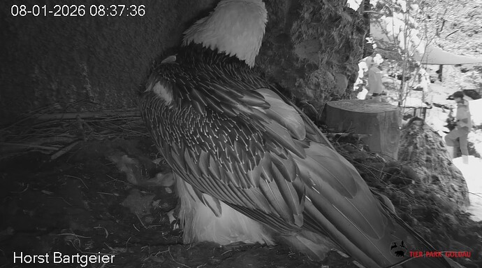 Menschen im Gehege 08.01.25