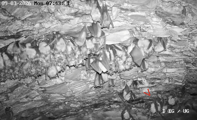 2026-03-09_2 ab 7.00 Cluster im Keller