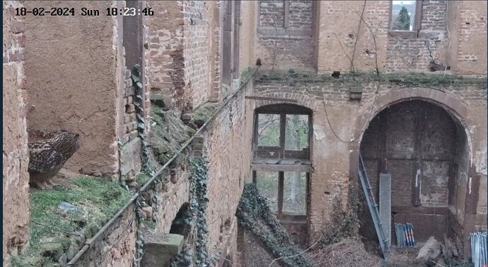 Screenshot_20240218_182430_Chrome