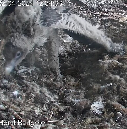 Screenshot_20240422-123538~2