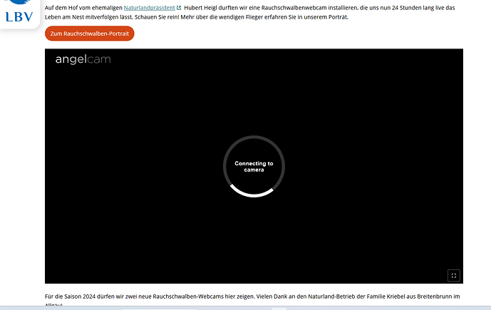 Screenshot (16272)