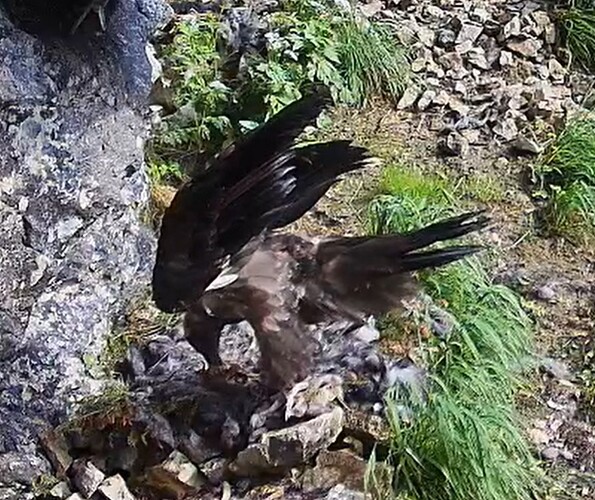 Generl beim Frühstück 17.06.25