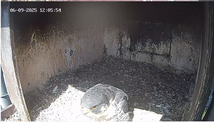 Screenshot_20250906_130024_Chrome