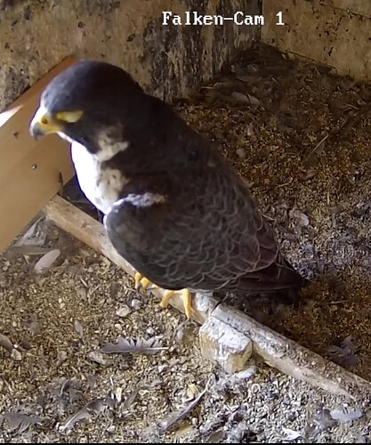 Screenshot_20230717-140121~2