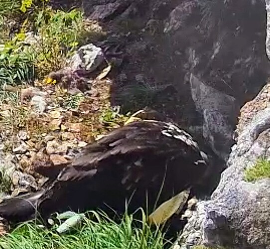 Screenshot_2025-06-13-09-23-44-877_com.android.chrome