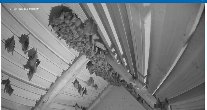 Screenshot_20260321-000100~2