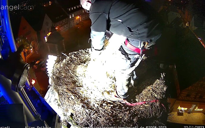 Screenshot_20231122-172553~2