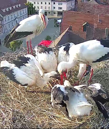 Screenshot_20230607-192750~2