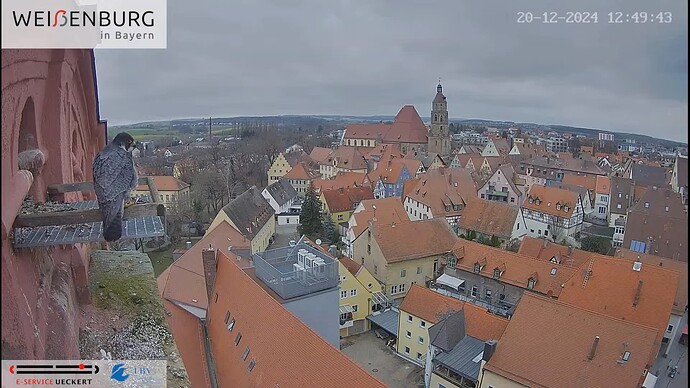 Screenshot (7671)