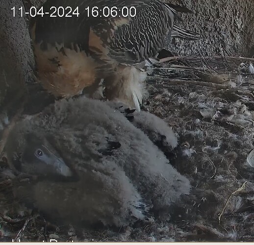 Putzen am Nachmittag 11.04.24