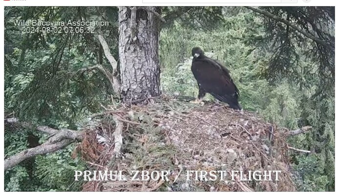 Screenshot 2024-08-03 001354