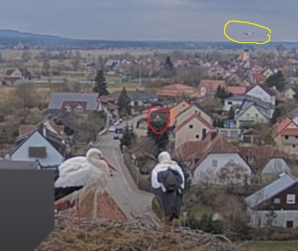 Snap_2025.03.14_12h35m24s_007_