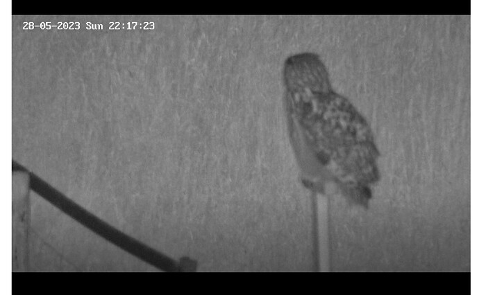 Screenshot_20230528_221748_Samsung Internet